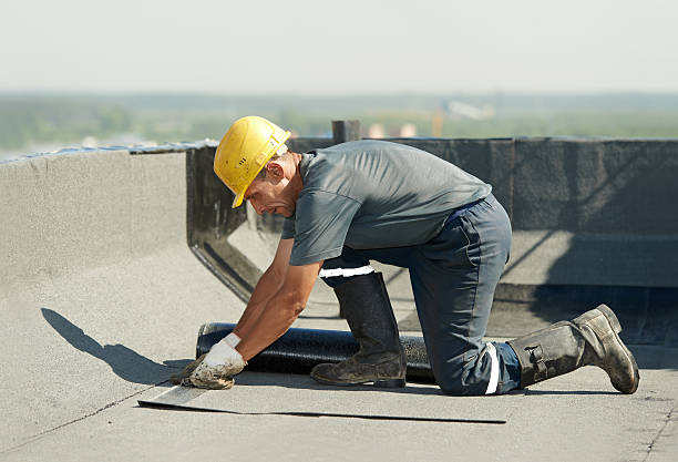 Best Geographic-Specific Insulation Services in Bingham Farms, MI